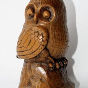 Wise Owl with Mouse